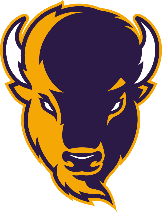 Lipscomb Bisons 2020-Pres Alternate Logo v3 diy iron on heat transfer